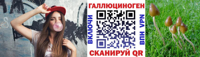 Псилоцибиновые грибы GOLDEN TEACHER  Стерлитамак 